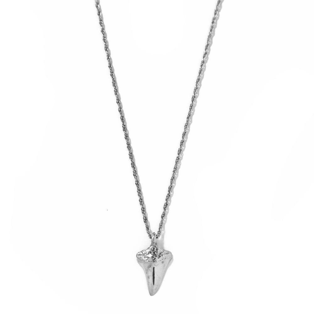 Image of Shark Tooth 1 