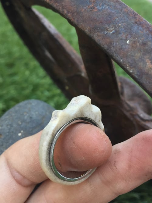 Image of Deer antler ring