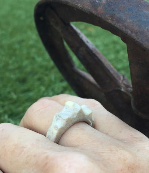 Image of Deer antler ring