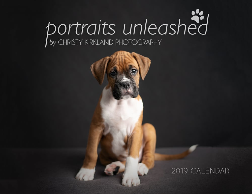 Image of Portraits Unleashed 2019 Calendar