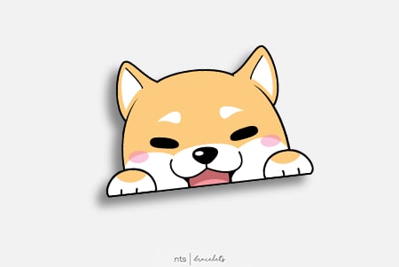 Image of SHIBA INU V2 