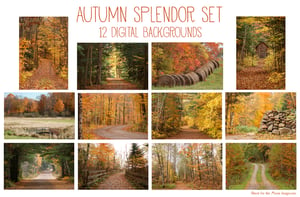 Image of Autumn Splendor Set