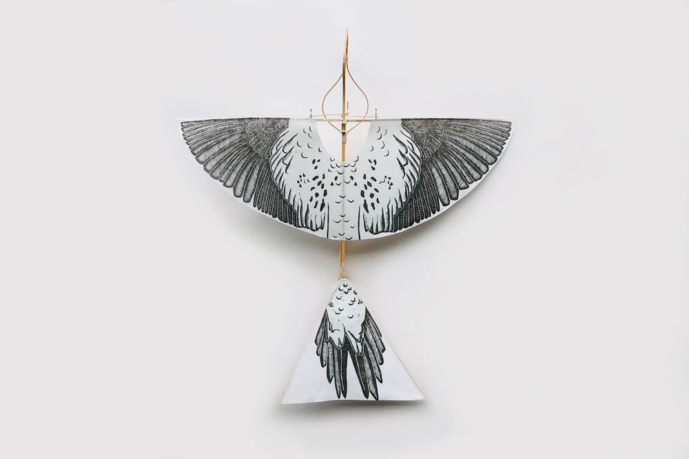 Image of The Flying Martha by Haptic Lab (Artist Edition)