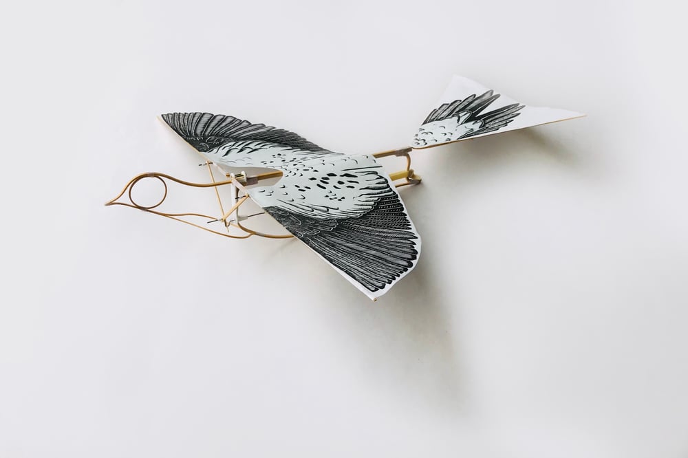 Image of The Flying Martha by Haptic Lab (Artist Edition)