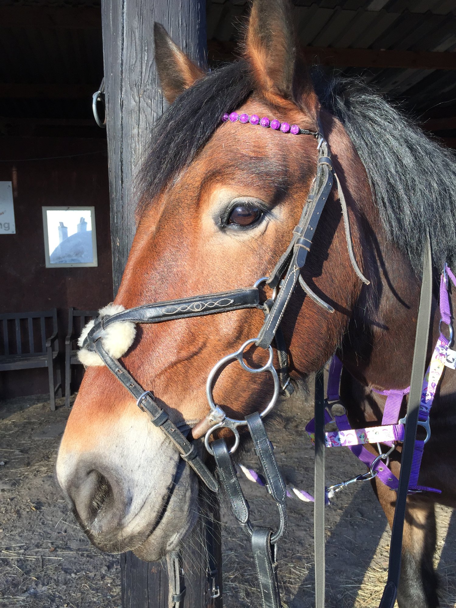 Image of Shamballa browband