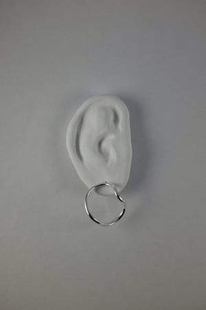 Image of Forms earrings 