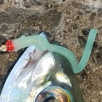 Image 3 of Halalu Wiggles - MADE TO ORDER