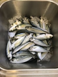 Image 4 of Halalu Wiggles - MADE TO ORDER