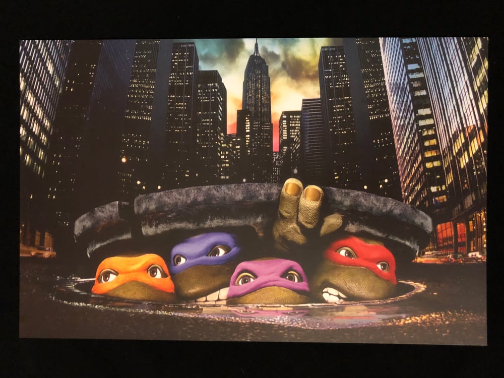 Image of TMNT Sewer Print