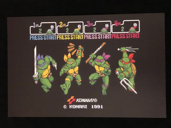 Image of Turtle Select Print