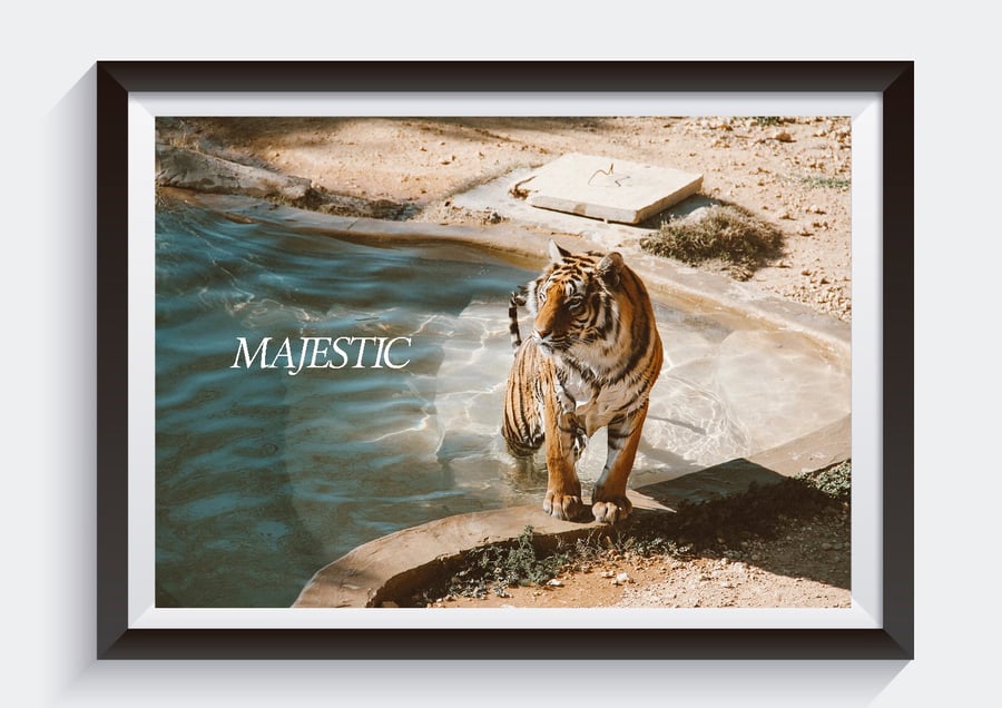 Image of MAJESTIC