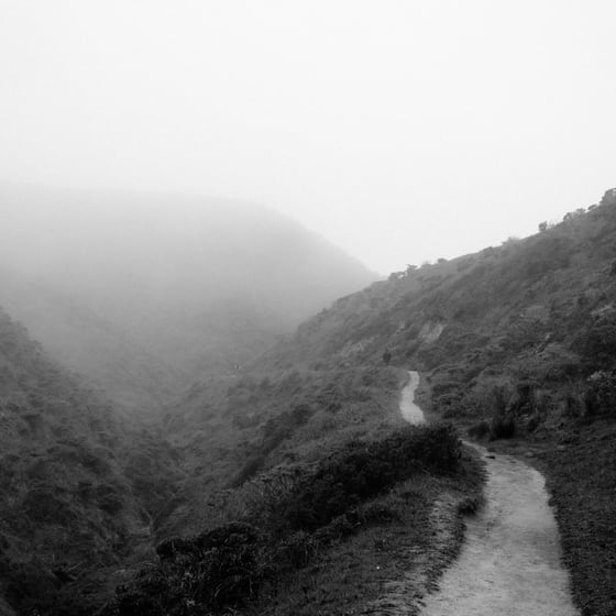 Image of McClure's Beach Trail, Pt. Reyes, CA