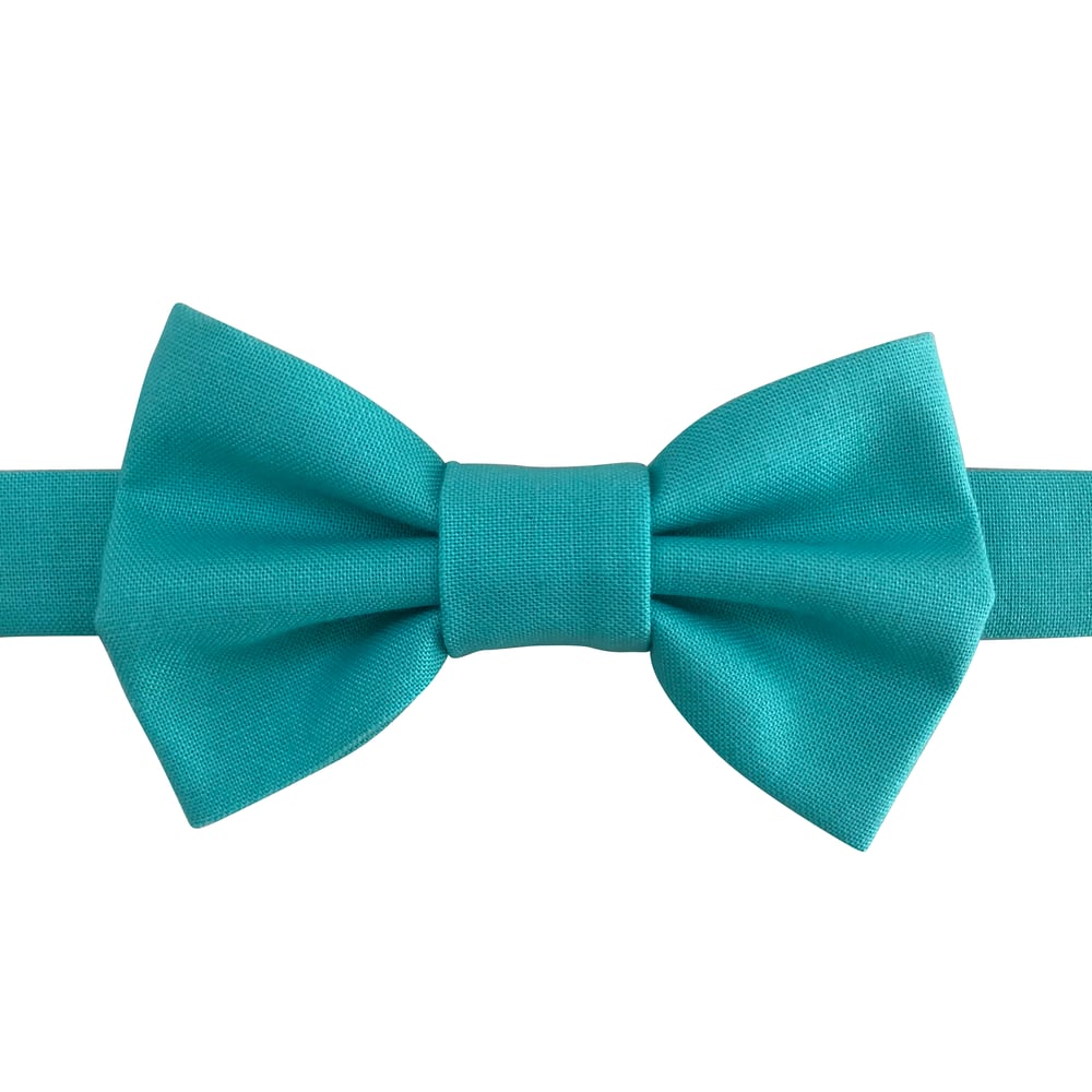 Image of pool bow tie