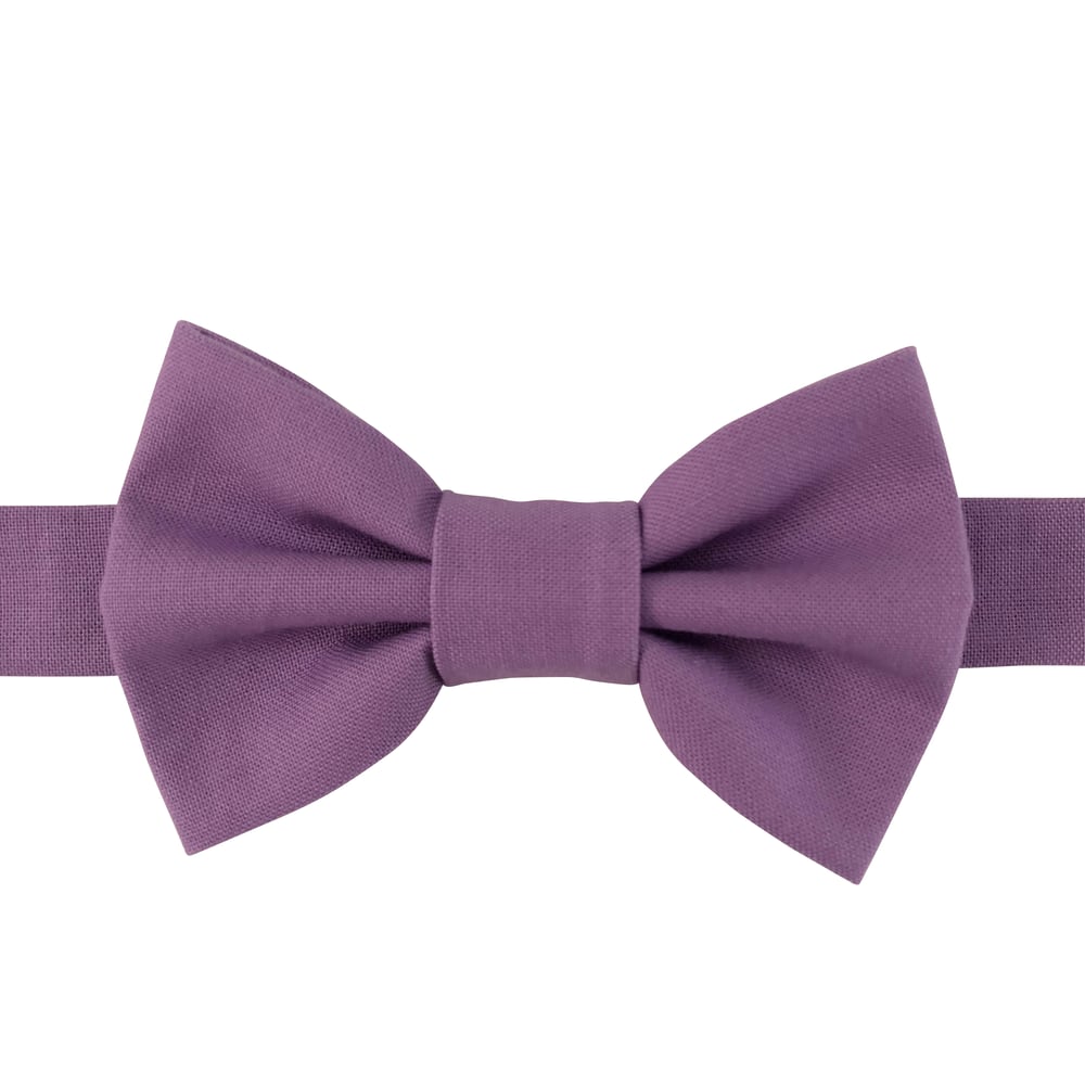 Image of wisteria bow tie