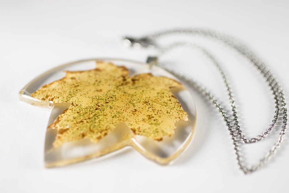 Image of Autumn Maple Leaf (Acer rubrum) - Extra Large #1