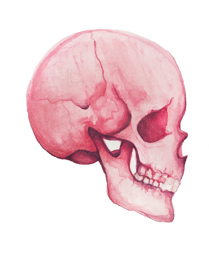 Image of Pink Skull Original