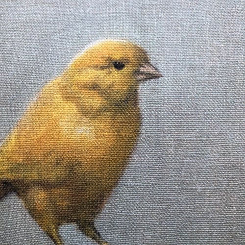 Image of Linen Yellow Canary Cushion