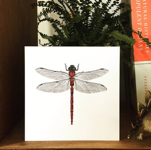 Neon Pink Dragonfly Greeting Card