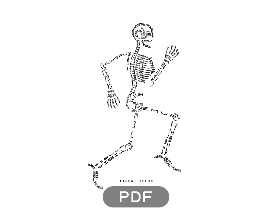 Image of Skeleton Typogram - PDF on white