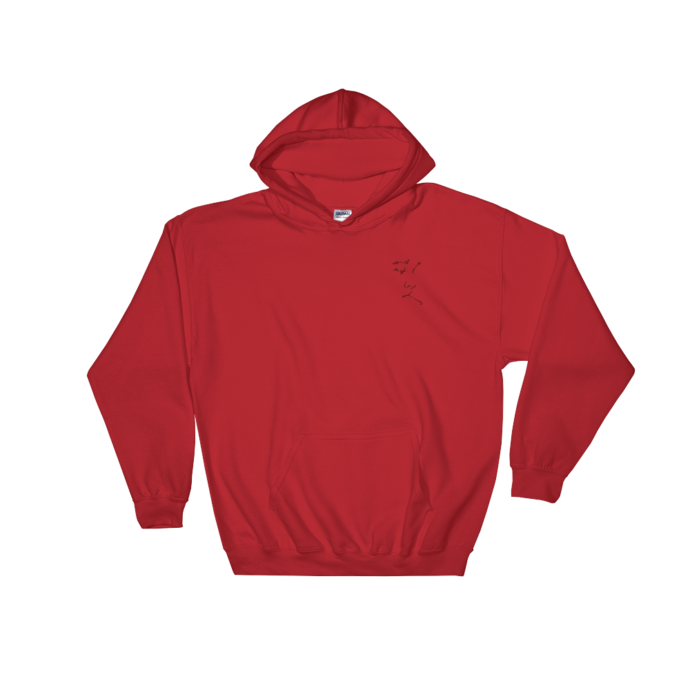 maroon red hoodie