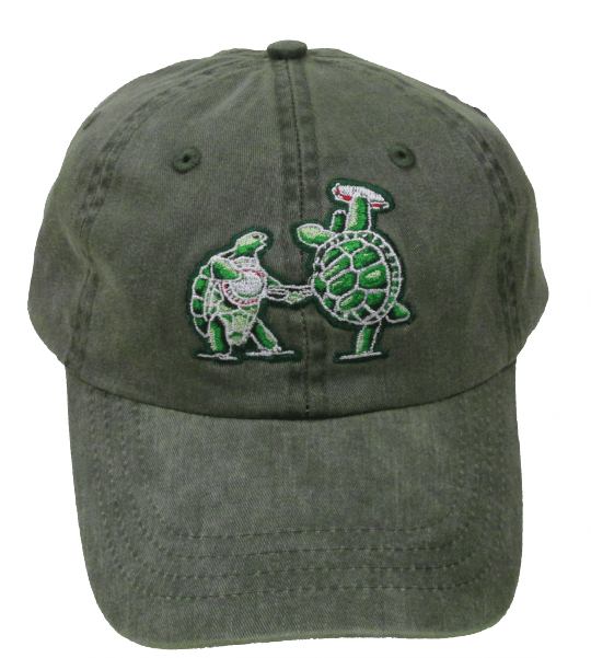 Image of Terrapins Embroidered Baseball Cap