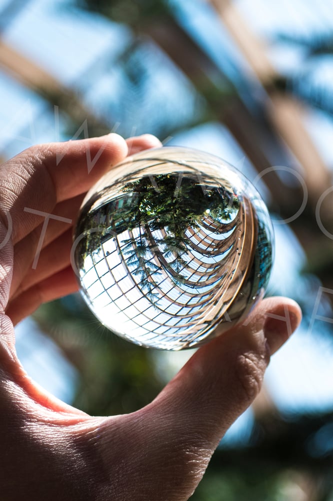 Image of 'Winter Gardens' Glass Perspective