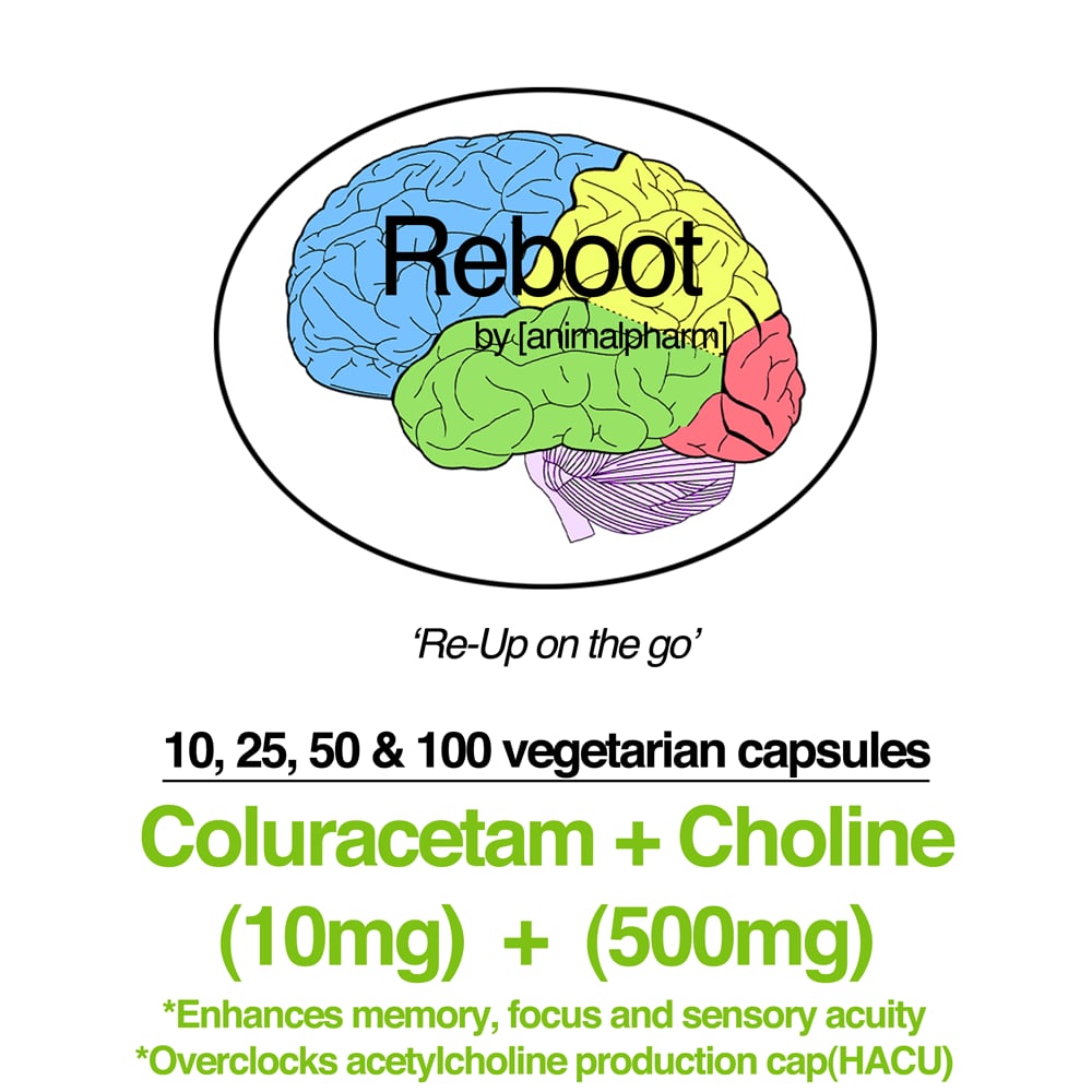 Image of COLURACETAM(10MG) + CHOLINE(500MG)