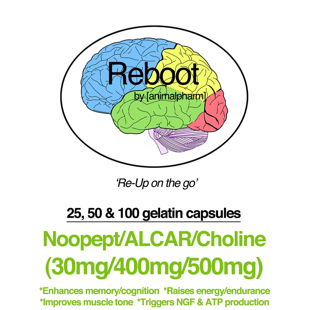 Image of NOOPEPT(30MG) + ALCAR(400MG) + CHOLINE(500MG)