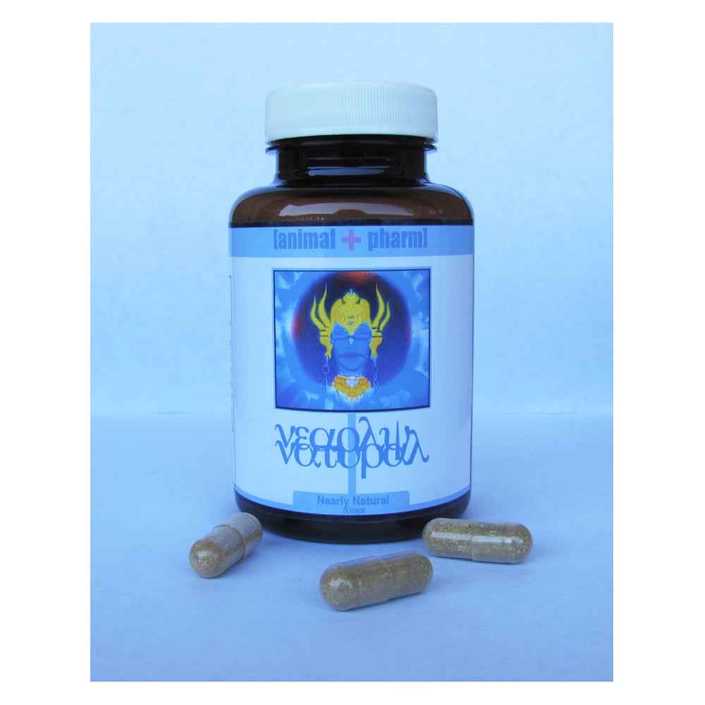 Image of NEARLY NATURAL NOOTROPIC BLEND (NOW WITH CHAGA AND REISHI<3) [ADAPTOGENIC]