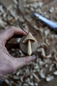 Image 2 of Birch Mushroom 