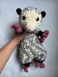 Image 2 of lola the opossum 