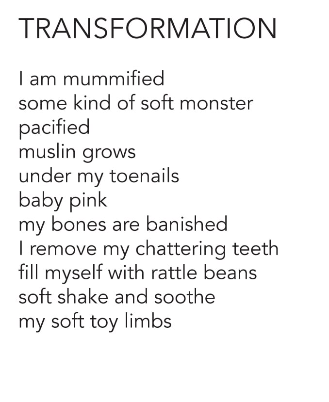 Image of Venus Shells by Etta Dia