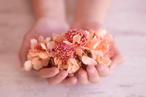 Image of Peineta Flores Preservadas - Flor de Arroz Coral