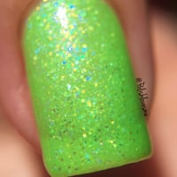 Image 4 of Where’s Balto?