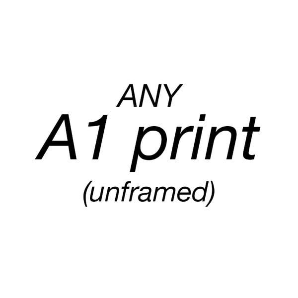 Image of A1 C-type print - matt or glossy (unframed)