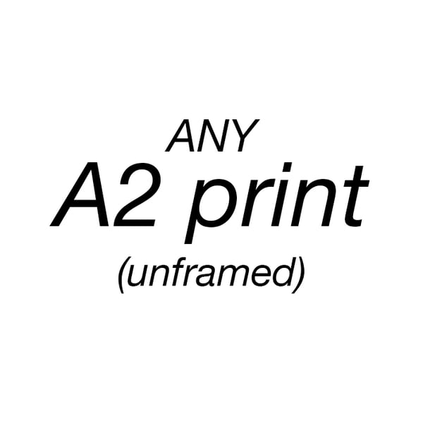 Image of A2 C-type print - matt or glossy (unframed)