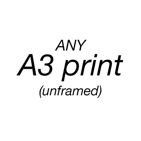 Image of A3 C-type print - matt or glossy (unframed)