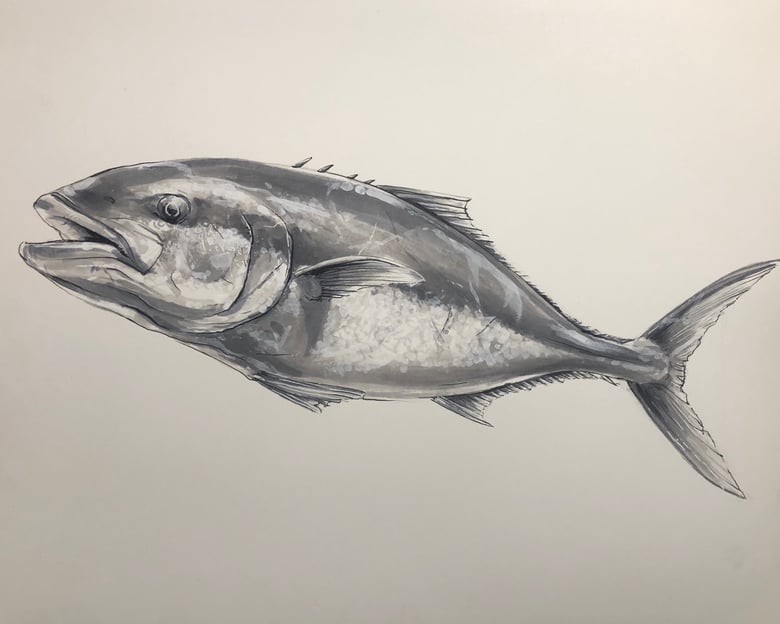 Image of “Mossback”