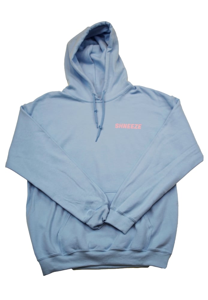 Image of Classic Logo Hoodie - Baby Blue