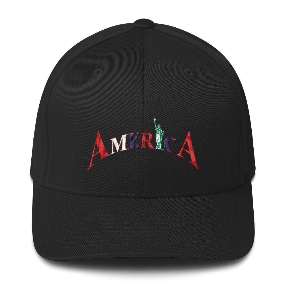 Image of AMERICA FLEX FIT HAT