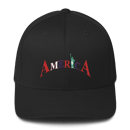 Image 1 of AMERICA FLEX FIT HAT