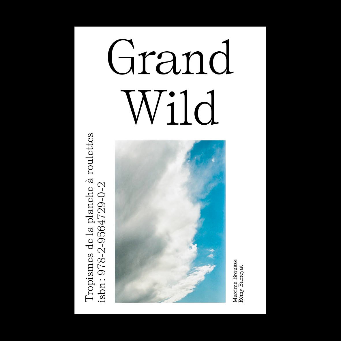 Image of Grand Wild #1 : Tropismes de la planche à roulettes