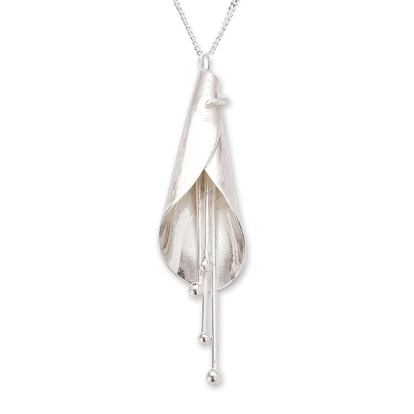Image of Zara Pendant and Chain 