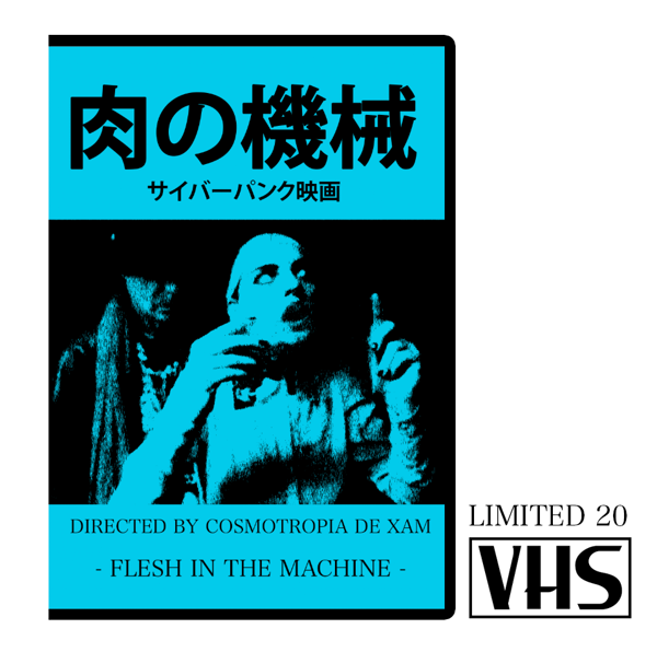 Image of FLESH IN THE MACHINE - LIMITED 20 VHS (Japan Design) + DVD