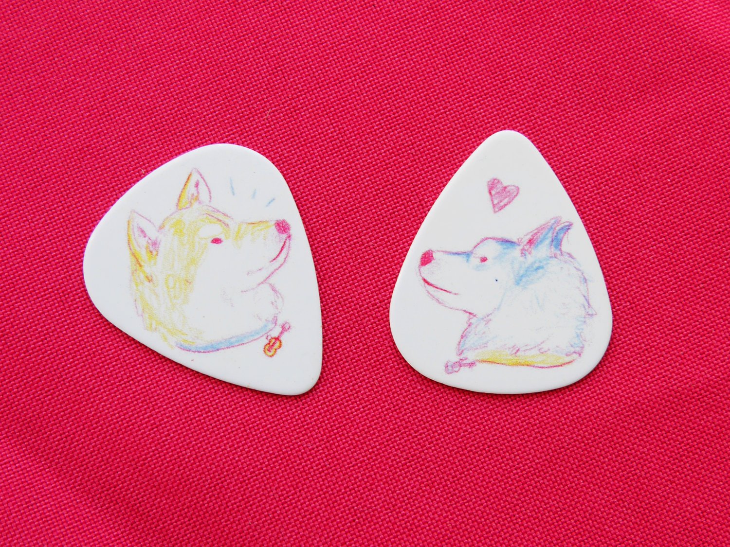 Image of Dog Plectrum