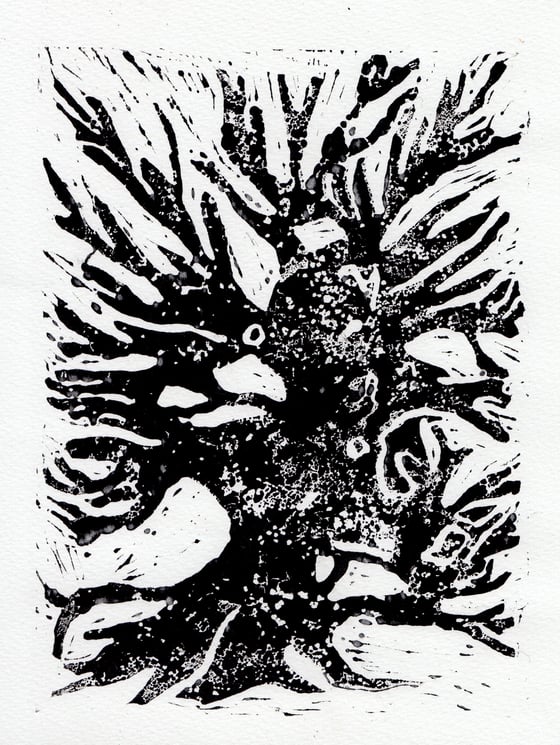 Image of tree print