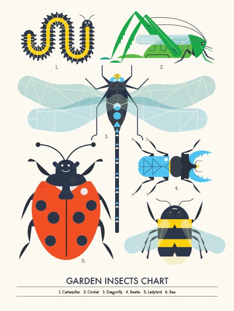Image of Garden Insect Chart