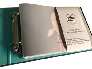 Image of STILL LIVES I: The Chernobyl Babushka