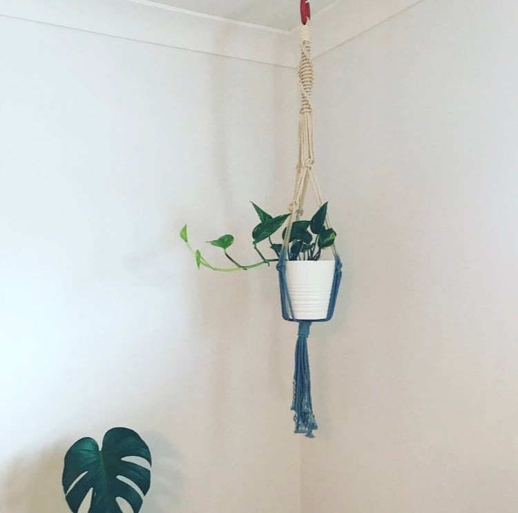 Image of The Wrap Plant Hanger
