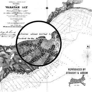 Image of Waratah Bay, 1868 (A2, black on white)